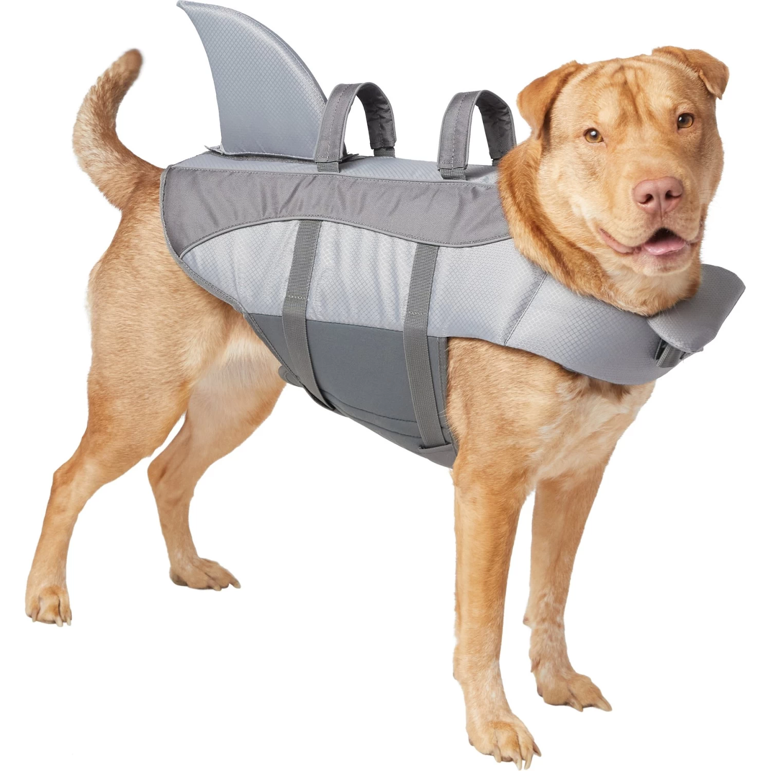 Frisco Shark Dog Life Jacket Frisco Shark Dog Life Jacket -Pet Supplies Shop 247887 MAIN. AC SS1800 V1613407886