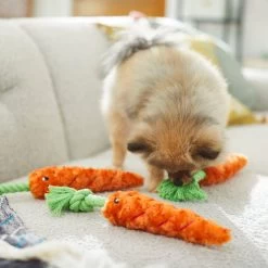 Frisco Easter Carrot Plush With Rope Dog Toy -Pet Supplies Shop 248023 PT5. AC SS1800 V1608769360