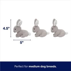 Frisco Spring Bunny Burrow Hide & Seek Plush Squeaky Dog Toy -Pet Supplies Shop 248039 PT2. AC SS1800 V1700243718