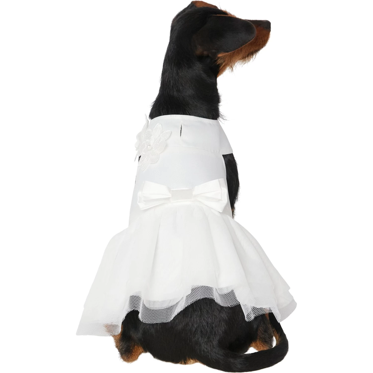 Frisco Formal Dog Wedding Dress Frisco Formal Dog Wedding Dress -Pet Supplies Shop 248743 MAIN. AC SS1800 V1614118280