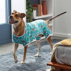 Frisco Teal Floral Dog & Cat Jersey PJs -Pet Supplies Shop 249132 PT5. AC SS1800 V1637725019