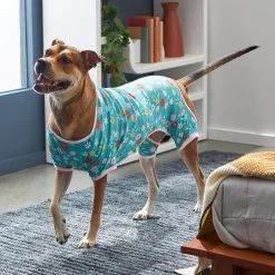 Frisco Teal Floral Dog & Cat Jersey PJs -Pet Supplies Shop 249132 PT7. AC SS1800 V1614376401
