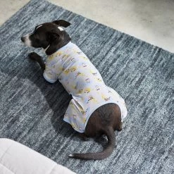 Frisco Sleepy Sloths Dog & Cat Jersey PJs -Pet Supplies Shop 249144 PT7. AC SS1800 V1614369158