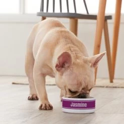 Frisco Preppy Stripes Ceramic Personalized Dog & Cat Bowl -Pet Supplies Shop 250837 PT3. AC SS1800 V1610764911