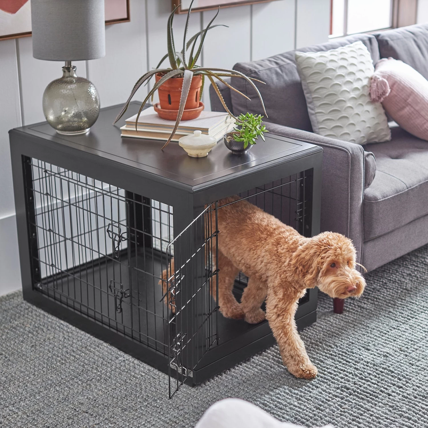 Frisco Double Door Furniture Style Dog Crate, Black Frisco Double Door Furniture Style Dog Crate, Black -Pet Supplies Shop 253026 MAIN. AC SS1800 V1617644223