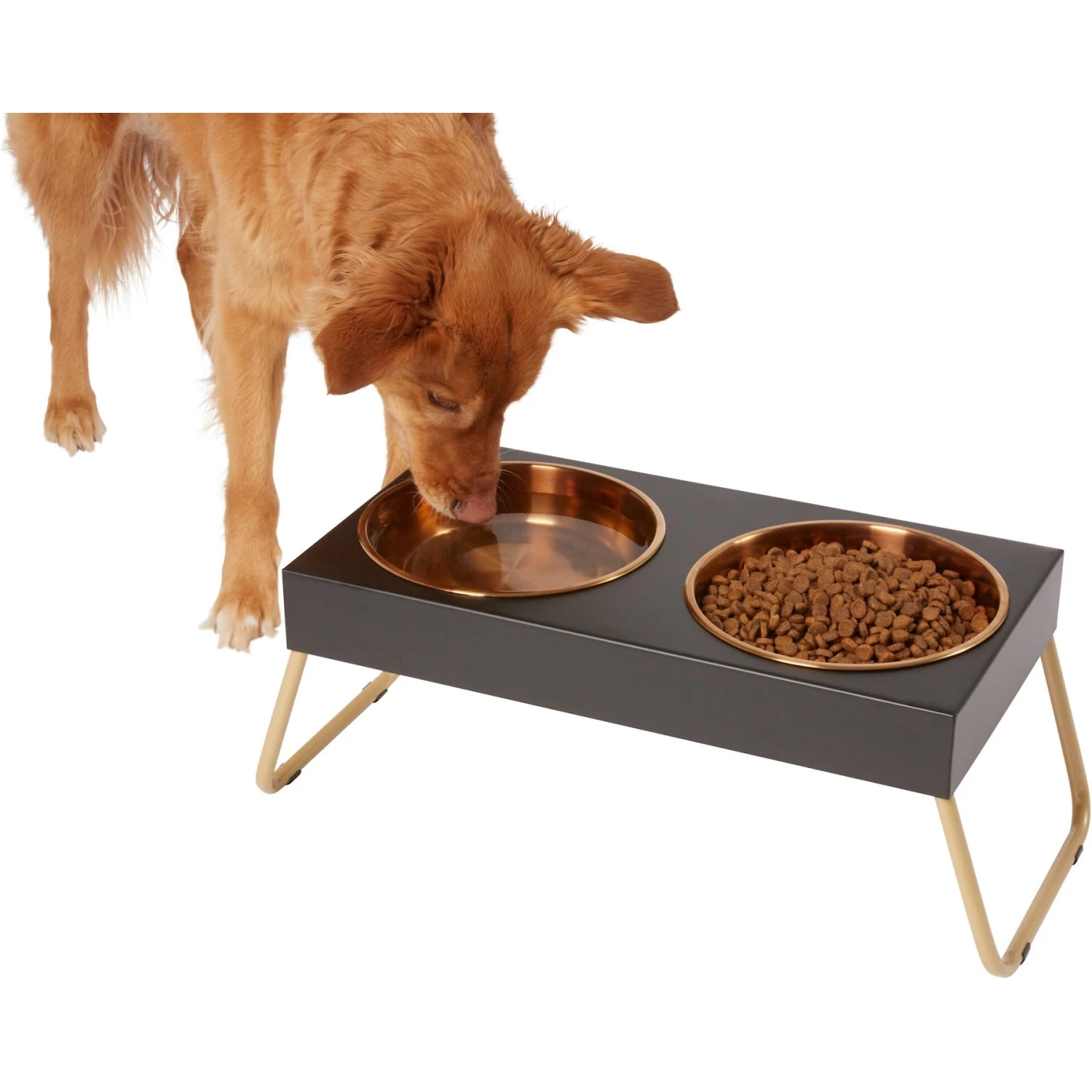 Frisco Copper Stainless Steel Elevated Foldable Double Dog & Cat Bowls Frisco Copper Stainless Steel Elevated Foldable Double Dog & Cat Bowls -Pet Supplies Shop 253060 MAIN. AC SS1800 V1616073913