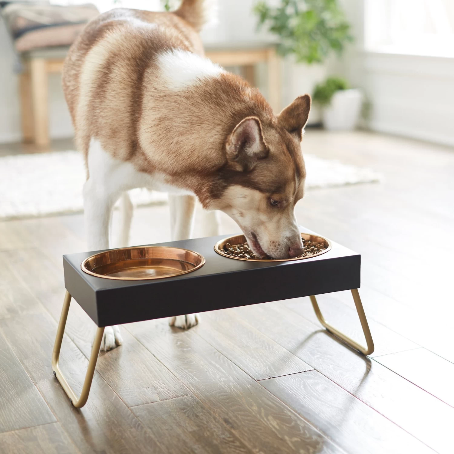 Frisco Copper Stainless Steel Elevated Foldable Double Dog & Cat Bowls Frisco Copper Stainless Steel Elevated Foldable Double Dog & Cat Bowls -Pet Supplies Shop 253060 PT2. AC SS1800 V1616594243