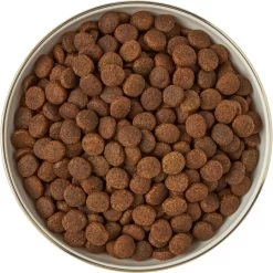 Frisco Gold Trim Melamine Dog & Cat Bowl -Pet Supplies Shop 253062 PT5. AC SS1800 V1616595396