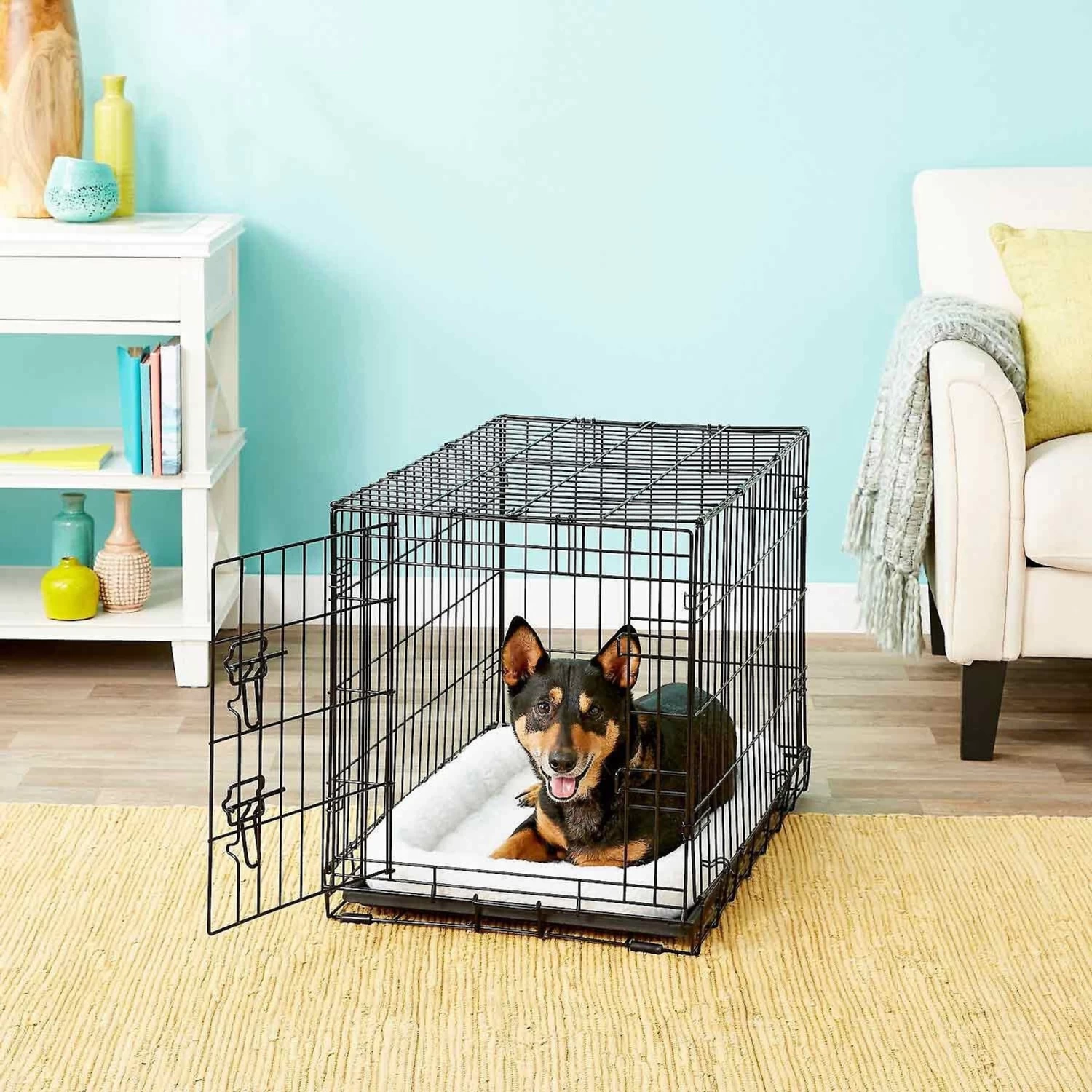 Frisco Fold & Carry Single Door Collapsible Wire Dog Crate & Frisco Quilted Dog Crate Mat Frisco Fold & Carry Single Door Collapsible Wire Dog Crate & Frisco Quilted Dog Crate Mat -Pet Supplies Shop 255493 PT2. AC SS1800 V1603545085