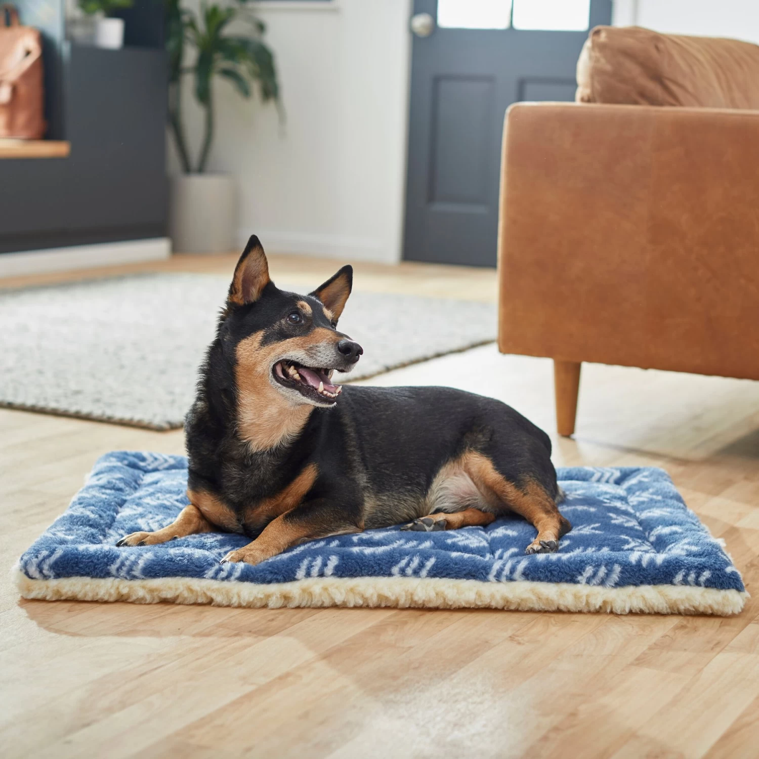 Frisco Plush Tri-fold Arrow Print Dog Crate Mat Frisco Plush Tri-fold Arrow Print Dog Crate Mat -Pet Supplies Shop 255998 MAIN. AC SS1800 V1616120500