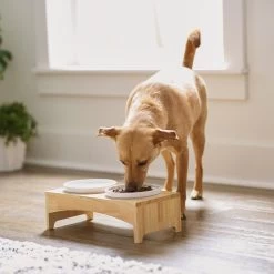 Frisco Ceramic Dog & Cat Double Diner With Elevated Wood Stand 2 Frisco Ceramic Dog & Cat Double Diner With Elevated Wood Stand -Pet Supplies Shop 256052 PT2. AC SS1800 V1615311142