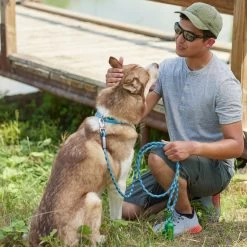 Frisco Outdoor Waterproof Stinkproof PVC Rope Leash -Pet Supplies Shop 256759 PT5. AC SS1800 V1625589494