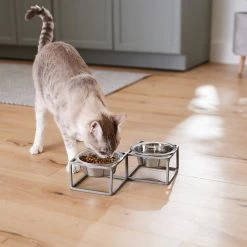 Frisco Elevated Diamond Stainless Steel Double Diner Dog & Cat Bowl -Pet Supplies Shop 257147 PT5. AC SS1800 V1615989105