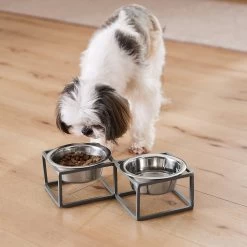 Frisco Elevated Diamond Stainless Steel Double Diner Dog & Cat Bowl -Pet Supplies Shop 257147 PT8. AC SS1800 V1615840442