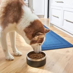 Frisco Insulated Two-Toned Non-Skid Stainless Steel Dog & Cat Bowl -Pet Supplies Shop 257168 PT8. AC SS1800 V1615840126