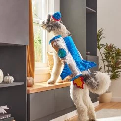 Frisco Rocket Ship Dog & Cat Costume -Pet Supplies Shop 260904 PT8. AC SS1800 V1624400386