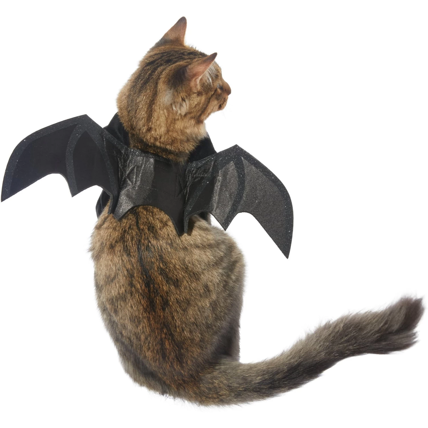 Frisco Bat Wings Dog & Cat Costume Frisco Bat Wings Dog & Cat Costume -Pet Supplies Shop 261113 MAIN. AC SS1800 V1625076458