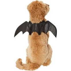 Frisco Bat Wings Dog & Cat Costume 2 Frisco Bat Wings Dog & Cat Costume -Pet Supplies Shop 261113 PT2. AC SS1800 V1625077070