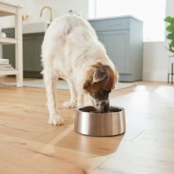 Frisco Insulated Non-Skid Stainless Steel Dog & Cat Bowl -Pet Supplies Shop 261757 PT8. AC SS1800 V1623937364