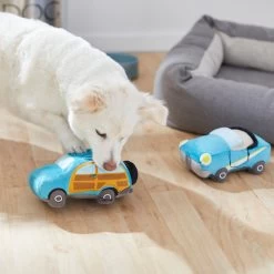 Frisco Road Trip Cruisers Plush Squeaky Dog Toy, 2 Count -Pet Supplies Shop 261982 PT3. AC SS1800 V1618598560