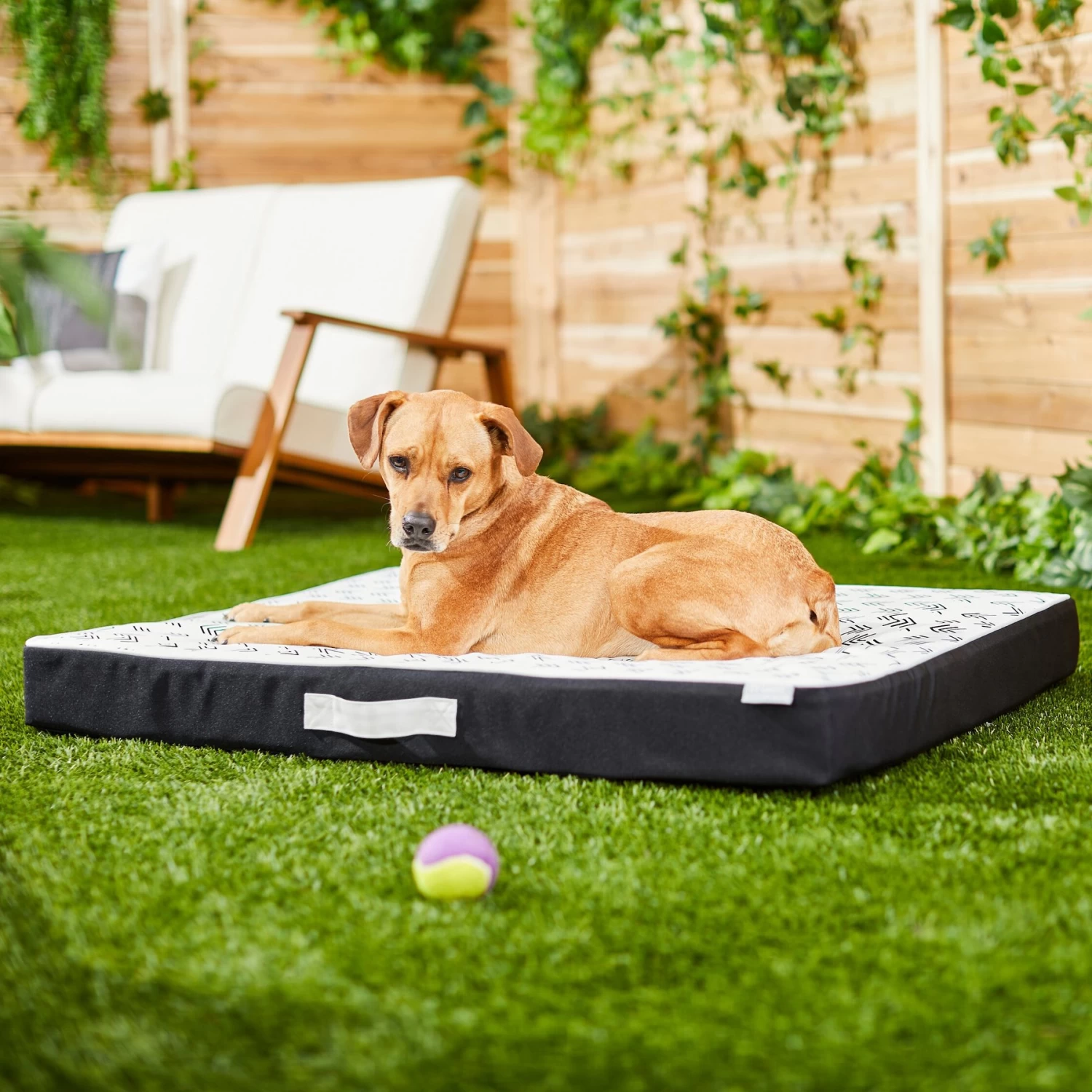 Frisco Indoor/Outdoor Arrow Print Pillow Dog Bed w/Removable Cover Frisco Indoor/Outdoor Arrow Print Pillow Dog Bed W/Removable Cover -Pet Supplies Shop 262153 MAIN. AC SS1800 V1619807962