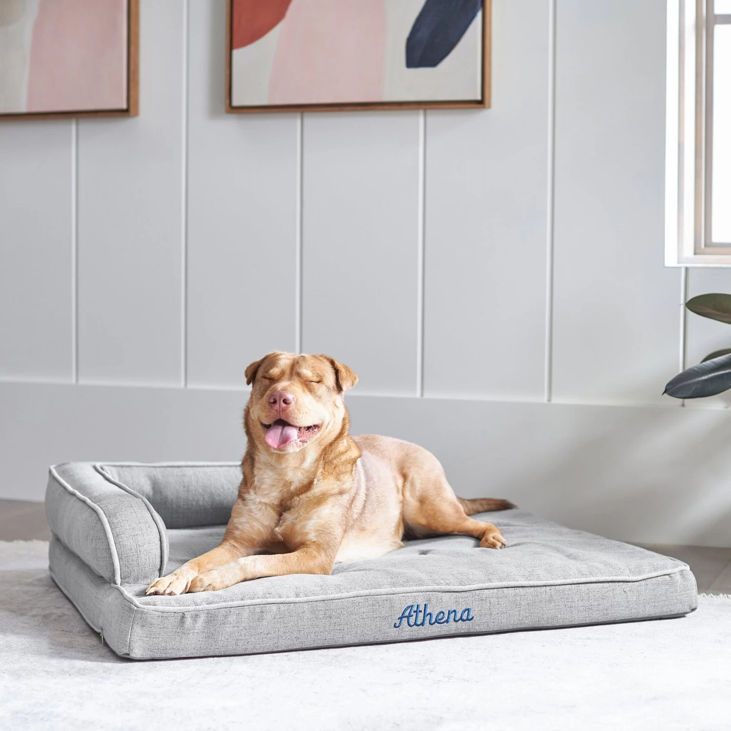 Frisco Faux Linen Corner Personalized Bolster Dog Bed w/Removable Cover, Harbour Blue, XL Frisco Faux Linen Corner Personalized Bolster Dog Bed W/Removable Cover, Harbour Blue, XL -Pet Supplies Shop 262161 MAIN. AC SS1800 V1615828300