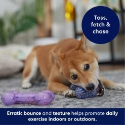 Frisco Birthday TPR Fetch Bone Squeaky Dog Toy 4 Frisco Birthday TPR Fetch Bone Squeaky Dog Toy -Pet Supplies Shop 264422 PT4. AC SS1800 V1695760988