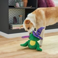 Frisco Magic Wizard Frog Plush Squeaky Dog Toy -Pet Supplies Shop 265588 PT3. AC SS1800 V1620939075