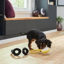 Frisco Magic Pocket Watch & Glasses Plush Squeaky Dog Toy, 2 Count -Pet Supplies Shop 265590 PT3. AC SS1800 V1620938935