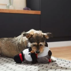 Frisco Magic Owl Plush Squeaky Dog Toy 2 Frisco Magic Owl Plush Squeaky Dog Toy -Pet Supplies Shop 265596 PT3. AC SS1800 V1623352167