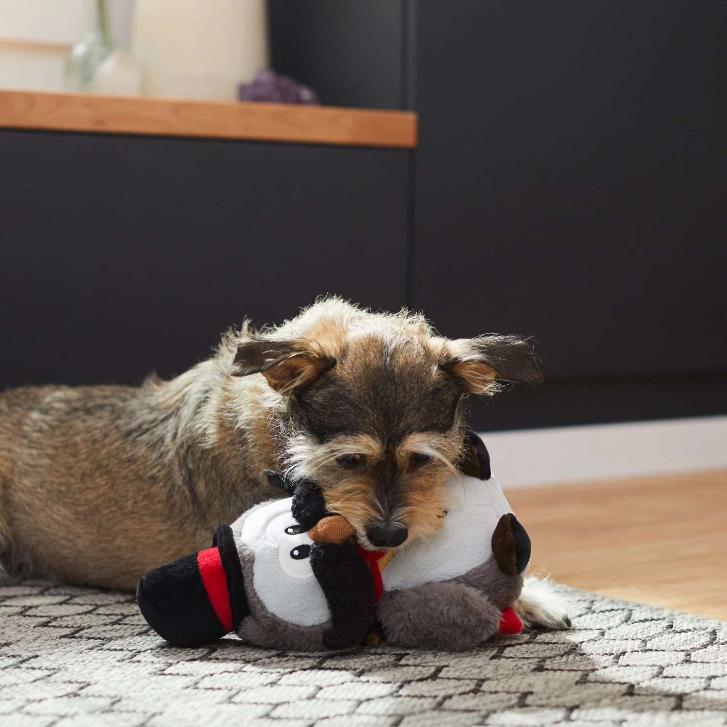 Frisco Magic Owl Plush Squeaky Dog Toy Frisco Magic Owl Plush Squeaky Dog Toy -Pet Supplies Shop 265596 PT3. AC SS1800 V1623352167