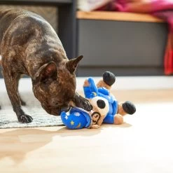 Frisco Magic Wizard Bear Plush Squeaky Dog Toy -Pet Supplies Shop 265604 PT3. AC SS1800 V1623352109