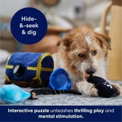 Frisco Magic Chest Hide & Seek Puzzle Plush Squeaky Dog Toy 5 Frisco Magic Chest Hide & Seek Puzzle Plush Squeaky Dog Toy -Pet Supplies Shop 265614 PT5. AC SS1800 V1695760957