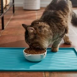 Frisco Cat Face Non-skid Ceramic Cat Bowl, White 2 Frisco Cat Face Non-skid Ceramic Cat Bowl, White -Pet Supplies Shop 270229 PT3. AC SS1800 V1620762318