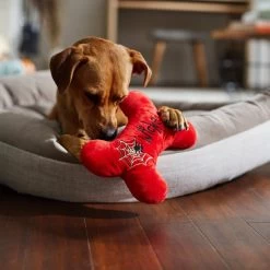 Frisco Halloween Wicked Cute Bone Reversible Plush Squeaky Dog Toy -Pet Supplies Shop 270357 PT3. AC SS1800 V1624817551