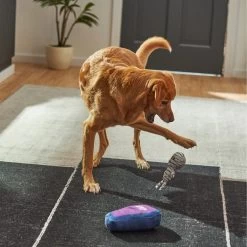 Frisco Halloween Mummy & Coffin Plush Squeaky Dog Toy 2 Frisco Halloween Mummy & Coffin Plush Squeaky Dog Toy -Pet Supplies Shop 270437 PT3. AC SS1800 V1624817278