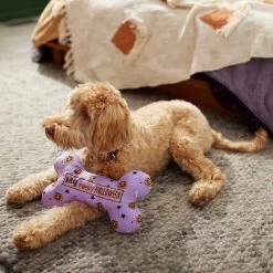 Frisco Halloween My First Halloween Bone Reversible Plush Squeaky Dog Toy -Pet Supplies Shop 270452 PT3. AC SS1800 V1624817314