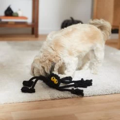Frisco Halloween Spider Rope Dog Toy -Pet Supplies Shop 270504 PT3. AC SS1800 V1624825021