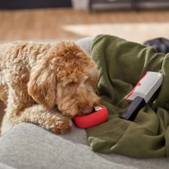 Frisco Halloween Vampire Teeth & Knife Latex Squeaky Dog Toy -Pet Supplies Shop 270512 PT3. AC SS1800 V1624817093