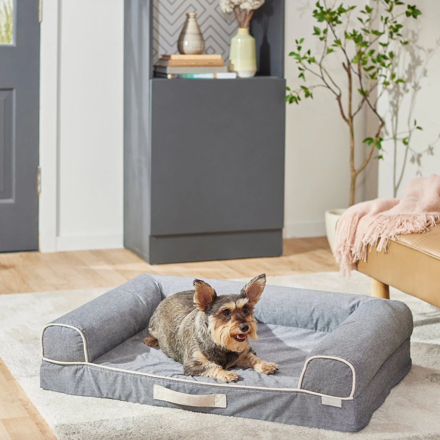 Frisco Chambray Orthopedic Sofa Bolster Dog Bed w/Removable Cover Frisco Chambray Orthopedic Sofa Bolster Dog Bed W/Removable Cover -Pet Supplies Shop 270907 MAIN. AC SS1800 V1626881662