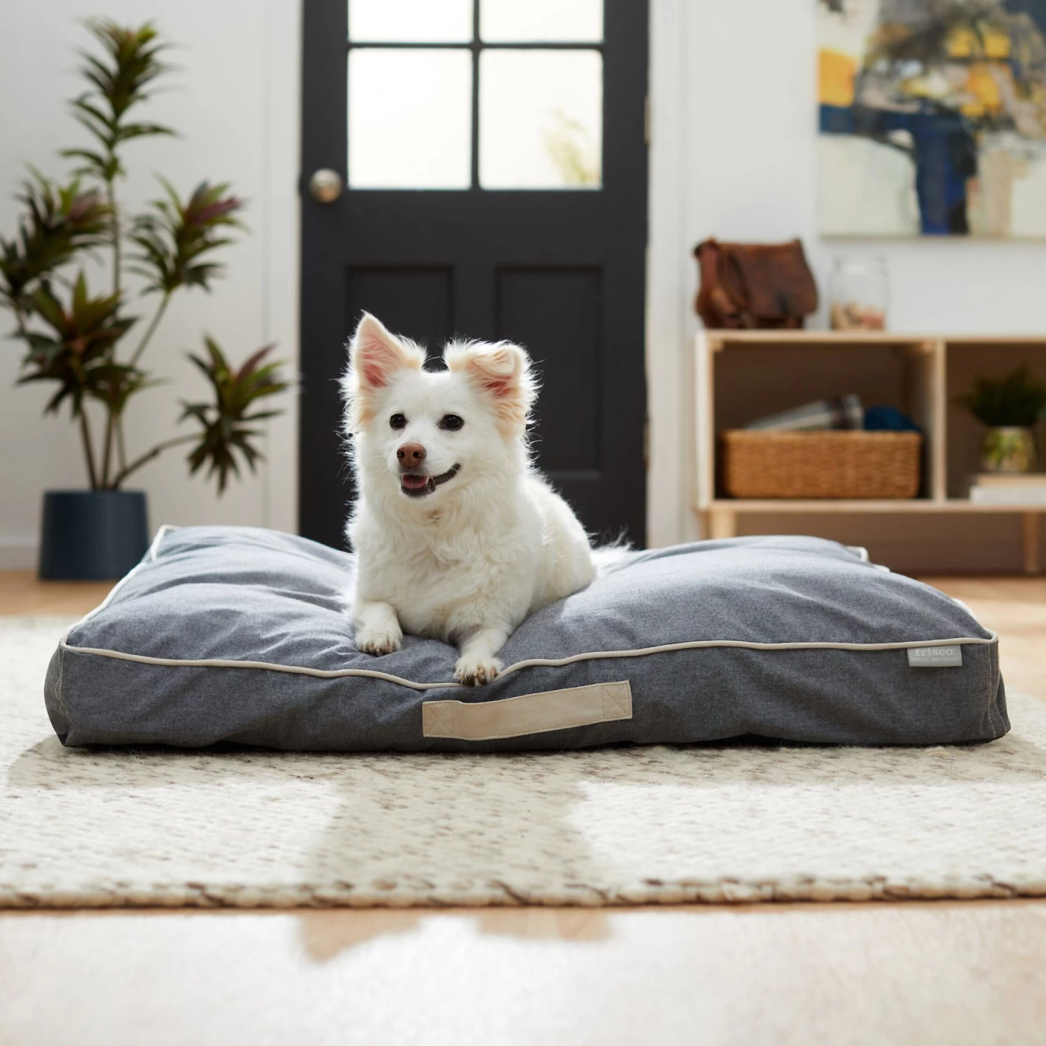 Frisco Chambray Pillow Dog Bed w/Removable Cover Frisco Chambray Pillow Dog Bed W/Removable Cover -Pet Supplies Shop 270915 MAIN. AC SS1800 V1626882266