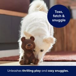 Frisco Camping Bear Plush Squeaky Dog Toy 4 Frisco Camping Bear Plush Squeaky Dog Toy -Pet Supplies Shop 270999 PT5. AC SS1800 V1691785245