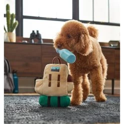 Frisco Camping Backpack Plush Squeaky Dog Toy 2 Frisco Camping Backpack Plush Squeaky Dog Toy -Pet Supplies Shop 271005 PT3. AC SS1800 V1625009263