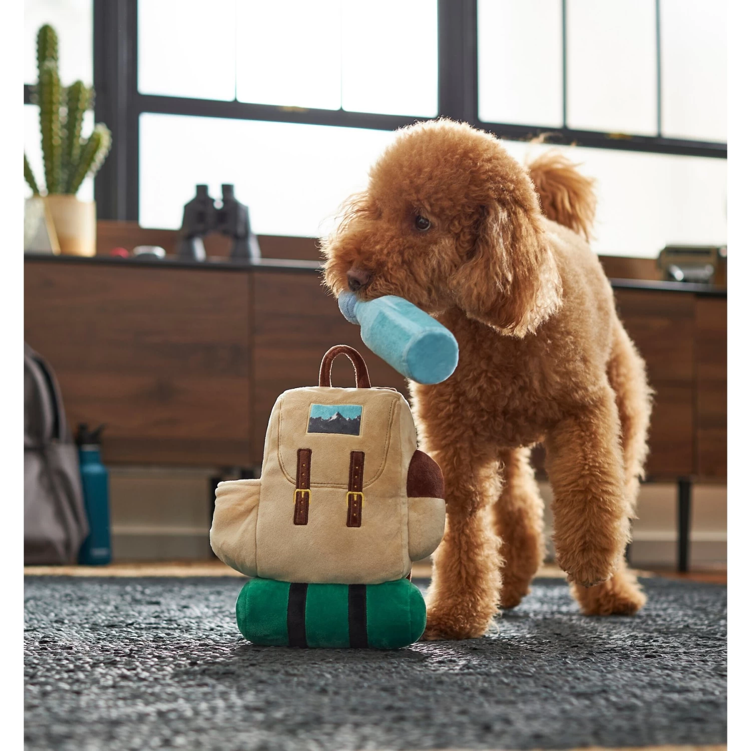 Frisco Camping Backpack Plush Squeaky Dog Toy Frisco Camping Backpack Plush Squeaky Dog Toy -Pet Supplies Shop 271005 PT3. AC SS1800 V1625009263