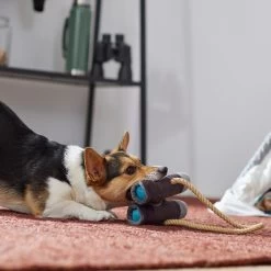 Frisco Camping Binoculars Plush With Rope Squeaky Dog Toy -Pet Supplies Shop 271009 PT3. AC SS1800 V1625009167