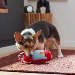 Frisco Camping Lantern Plush With Rope Squeaky Dog Toy 2 Frisco Camping Lantern Plush With Rope Squeaky Dog Toy -Pet Supplies Shop 271013 PT3. AC SS1800 V1625160766