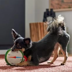 Frisco Camping Compass Plush With Rope Squeaky Dog Toy -Pet Supplies Shop 271020 PT3. AC SS1800 V1625008965