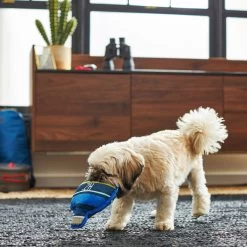 Frisco Camping Canteen Plush With Rope Squeaky Dog Toy -Pet Supplies Shop 271022 PT3. AC SS1800 V1625009237