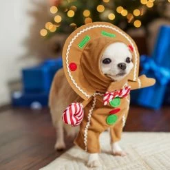 Frisco Front Walking Gingerbread Dog & Cat Costume -Pet Supplies Shop 276156 PT8. AC SS1800 V1631568795