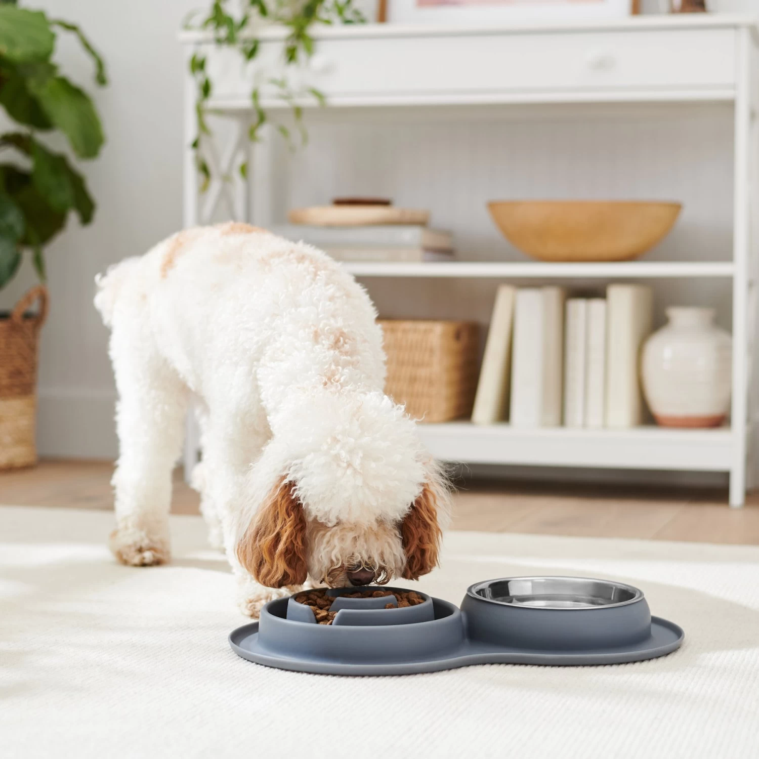Frisco Silicone Stainless Steel Double Diner Slow Feeder Dog & Cat Bowl, Grey, 3 Cup Frisco Silicone Stainless Steel Double Diner Slow Feeder Dog & Cat Bowl, Grey, 3 Cup -Pet Supplies Shop 277549 PT2. AC SS1800 V1630346823